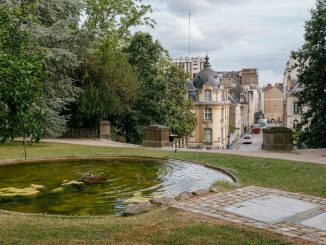 A small pond in the middle of a park