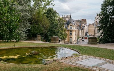 A small pond in the middle of a park