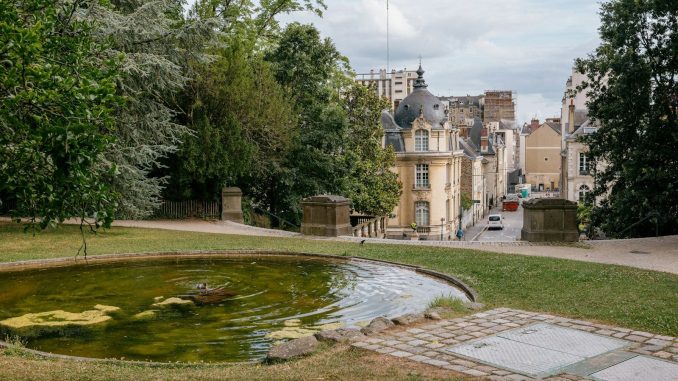 A small pond in the middle of a park